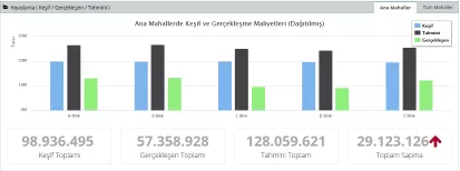 Project Budget Analysis Report
